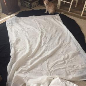 Juicy Couture Black Bed Skirt