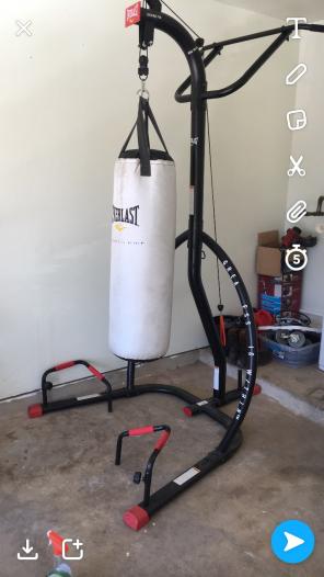 Everlast punching bag with stand