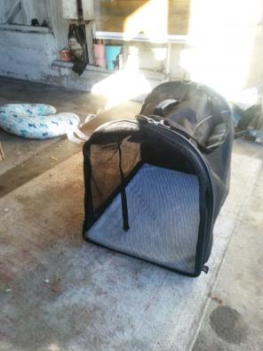 Extra Large Pet Carrier