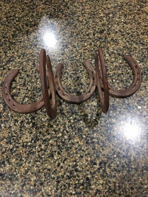 Western Horseshoe Coat/hat Rack