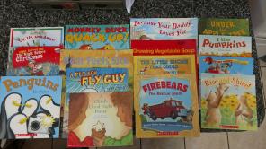 Scholastic Books Bundle