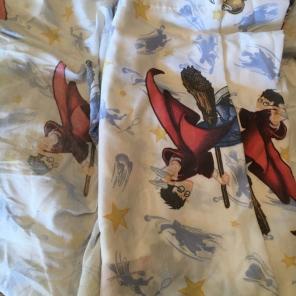 Harry Potter Twin Bed Sheets Quidditch