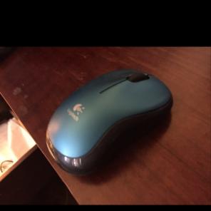 Mouse