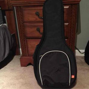 Mandolin Case