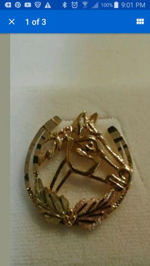 Horse in Horseshoe