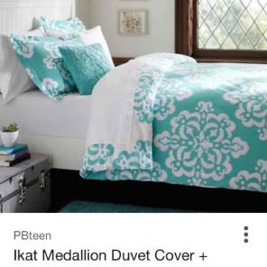 Pottery Barn Ikat Medallion Duvet