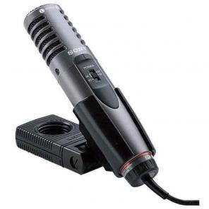 Recording mic