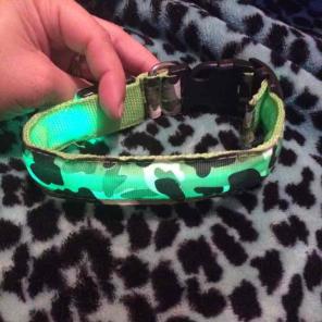 Dog LED collar