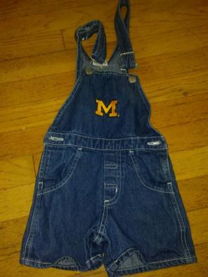 Michigan coveralls