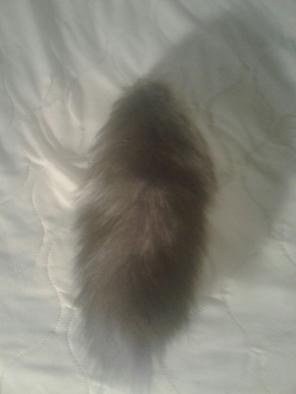 Real Fur Wolf Tail