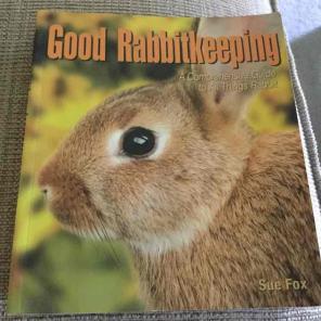 COMPREHENSIVE GUIDE 2 ALL THINGS RABBITS
