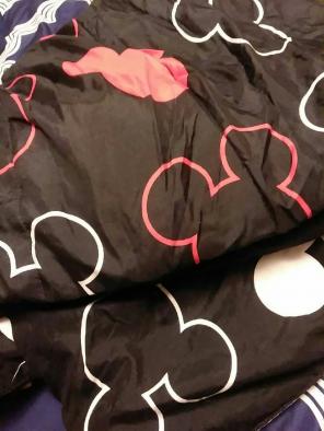 Mickey Mouse twin size cover