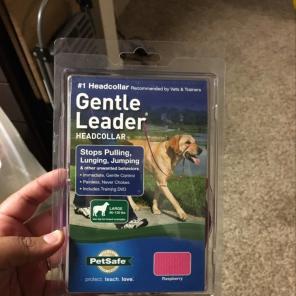 Gentle leader Head collar