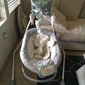 Ingenuity Baby Swinger