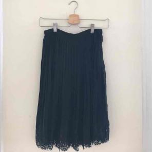 black sheer pleated skirt with lining
