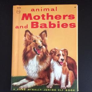 Animal Mothers And Babies Book Vintage
