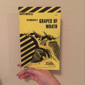 Grapes Of Wrath ( Cliffs Notes )