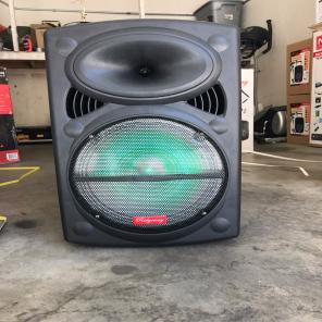 NEW 12" Rechargeable Bluetooth Speaker