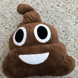 Fat Poo Pillow
