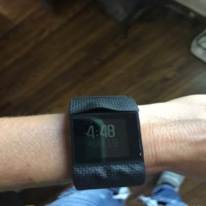 Surge Fitbit