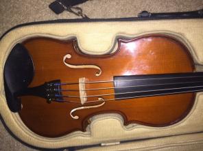 viola