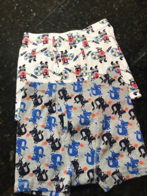 Hanna Andersson Organic Boxer Briefs M