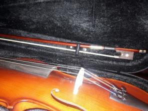 Violin