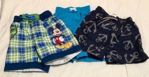 Toddler Boys 2T Swim Trunks Gymboree