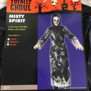 Misty spirit boys Halloween costume