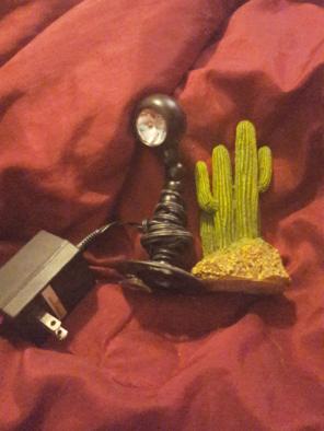 Reptile red light and cactus decoration.