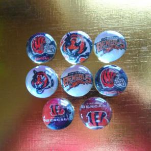Cincinnati Bengals magnets